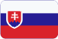 Zvonařství Slovensky